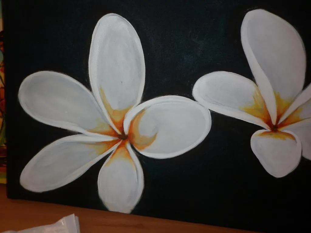 Seetha'S Hostel Negombo